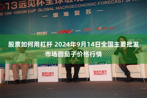 股票如何用杠杆 2024年9月14日全国主要批发市场圆茄子价格行情