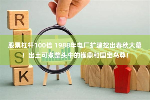 股票杠杆100倍 1988年电厂扩建挖出春秋大墓！出土可煮整头牛的镬鼎和国宝鸟尊！