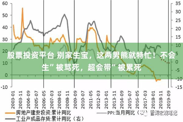 股票投资平台 别家生宝，这两男熊就特忙！不会生”被骂死，超会带”被累死