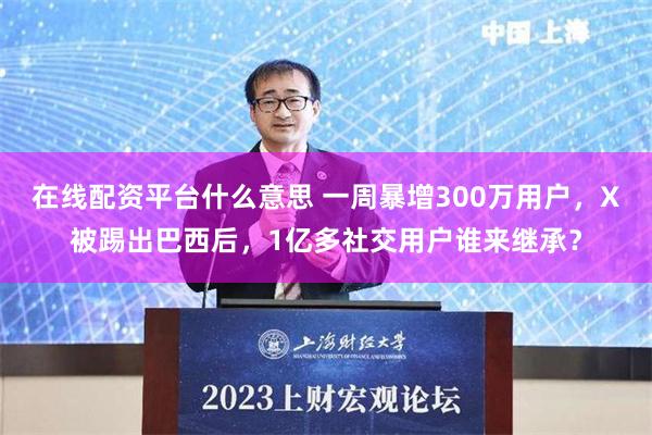 在线配资平台什么意思 一周暴增300万用户，X被踢出巴西后，1亿多社交用户谁来继承？