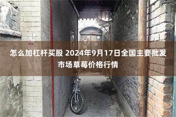 怎么加杠杆买股 2024年9月17日全国主要批发市场草莓价格行情