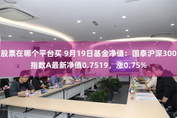 股票在哪个平台买 9月19日基金净值：国泰沪深300指数A最新净值0.7519，涨0.75%