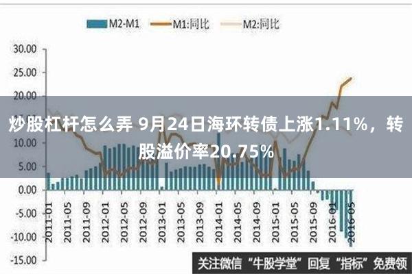 炒股杠杆怎么弄 9月24日海环转债上涨1.11%，转股溢价率20.75%