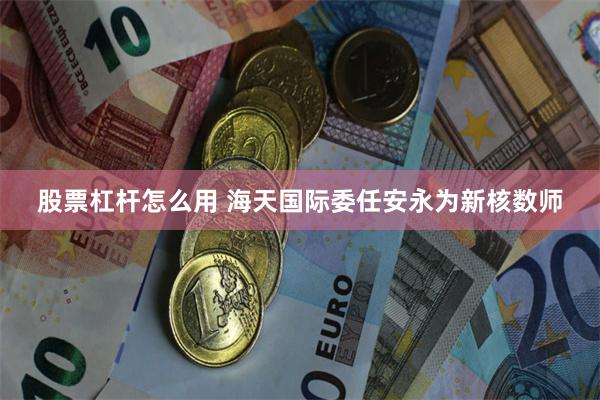 股票杠杆怎么用 海天国际委任安永为新核数师