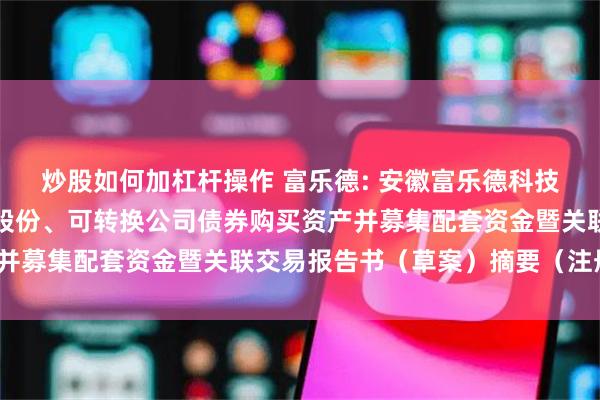 炒股如何加杠杆操作 富乐德: 安徽富乐德科技发展股份有限公司发行股份、可转换公司债券购买资产并募集配套资金暨关联交易报告书（草案）摘要（注册稿）